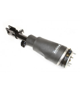 Conjunto amortiguador completo derecho - RNB000740