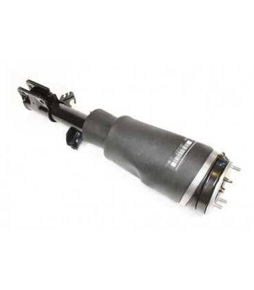 Conjunto amortiguador completo derecho - RNB000740