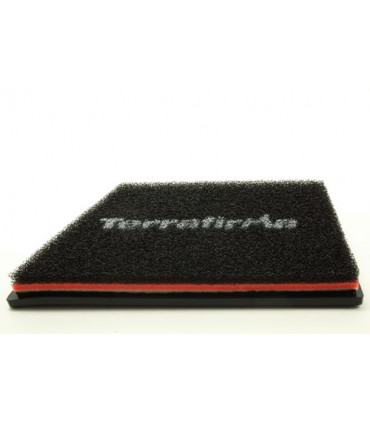 Filtro de aire Terrafirma - TF392