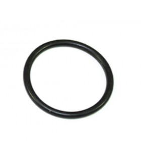 JUNTA TORICA - FRC7439