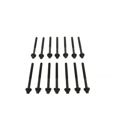 Juego tornillos de culata - LDY000040