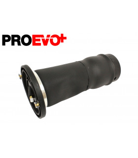 Globo de suspension neumática trasero - RKB101200PR Para Discovery 2