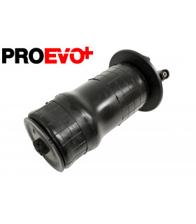 Muelle aire trasero - RKB101460PR