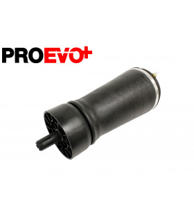 Globo de suspension trasera - LR034262PR