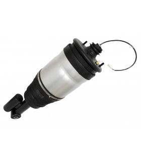 Amortiguador trasero izquierdo - LR032651PR