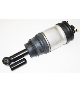 Amortiguador trasero derecho - LR032652W