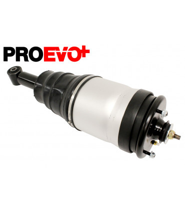 Amortiguador neumático trasero - RPD501090PR