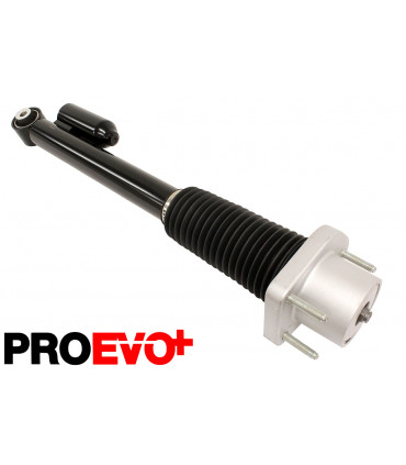 Amortiguador trasero derecho - LR035265PR