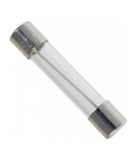 Fusible 10 amp - RTC4500