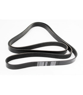 Correa alternador - ERR6896