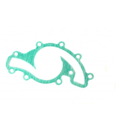 Junta bomba de agua - ERR4077