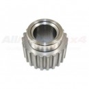 Piñon del cigueñal - ERR1642