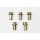 Tornillo tapa balancines - ERR4834