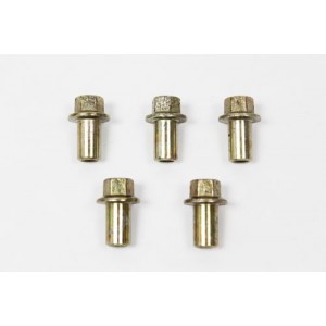 Tornillo tapa balancines - ERR4834