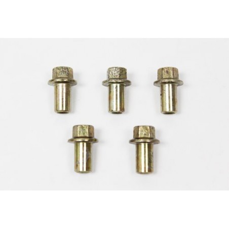 Tornillo tapa balancines - ERR4834