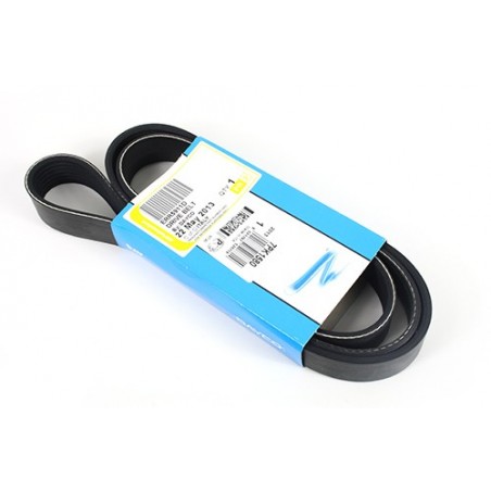 Correa de transmision - ERR5911G