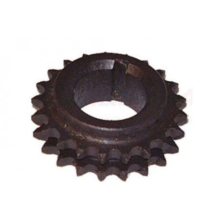 Piñon cigueñal - 568333