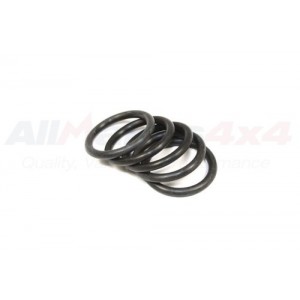 Junta tórica - LLO100000