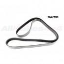 Correa de transmisión - LR000996D