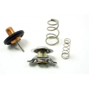 Termostato - LR005765