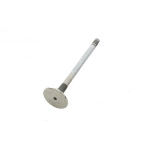 Valvula de escape - LR008130