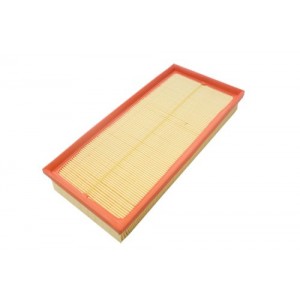 Filtro de aire - LR011593GEN