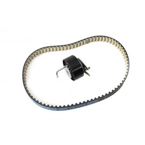 Kit de distribucion trasera - LR016656