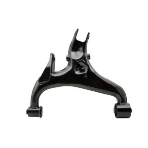 Brazo de suspension trasero izquierdo - LR019978