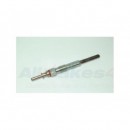 Calentador - NCC100120L