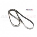 Correa primaria - PQR500320