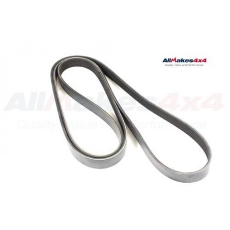 Correa primaria - PQR500320