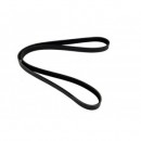 Correa del alternador - PQS101130D