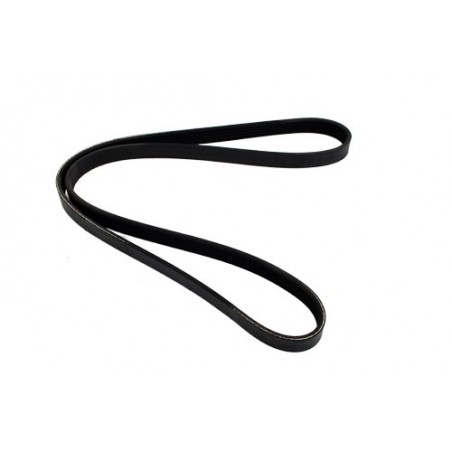 Correa del alternador - PQS101130D