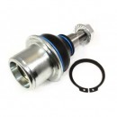 Rotula de suspensión - RBK500280