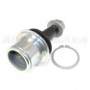 Rotula brazo de suspension inferior delantero - RBK500300GEN