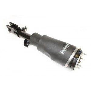 Amortiguador neumático derecho - RNB000740W