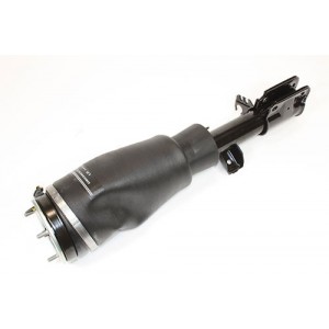 Amortiguador neumático izquierdo - RNB000750W