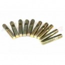 Esparrago - TE108061L