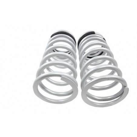 Muelles traseros rebajados 1" - TF034