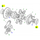 Rodamiento diferencial - 607187