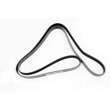 Correa trapezoidal - ERR5579D