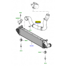 Manguito intercooler a colector - LR066429