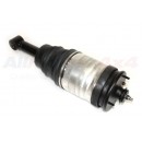 Amortiguadores traseros - LR041110W