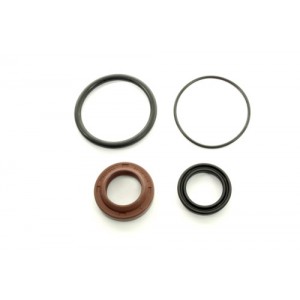 Kit de juntas para amortiguador TERRAFIRMA MEGA SPORT - TF137SEALS