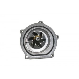 Bomba de agua - PEM500040GEN