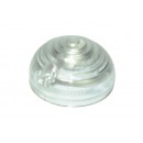 Tulipa transparente - 589284