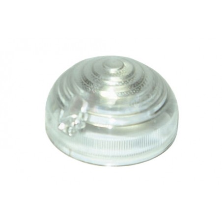 Tulipa transparente - 589284