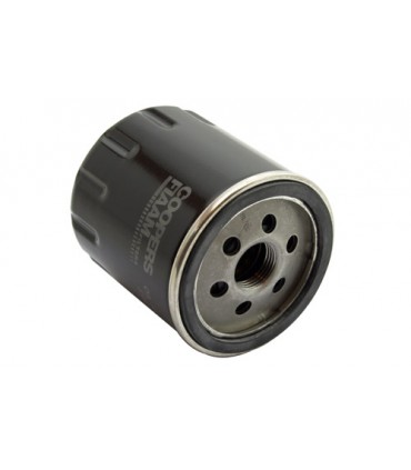 Filtro de aceite - LPW100180LG