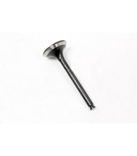 Válvula de escape - LGH100980L