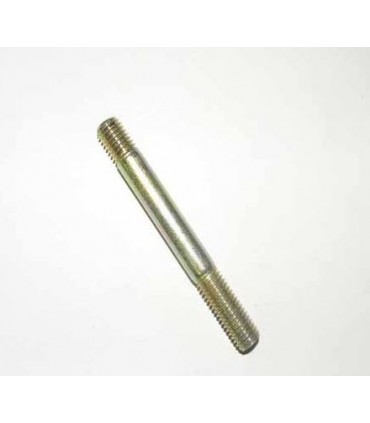 Esparrago - TE110151